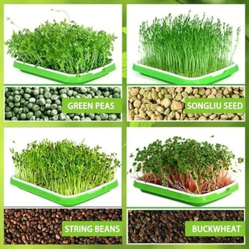 Hydrokultur-Tablett für Microgreens und für Sprossen, Anfänger bis Fortgeschrittene