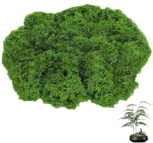 JAWUZ 100g fausse herbe Artificielle séchée Mousse,Plantes Vertes Simulées Artificielle de Mousse Verte Lichen pour Décoration Mousse Artificielle pour La Maison Jardin Patio Jardins（Vert foncé）