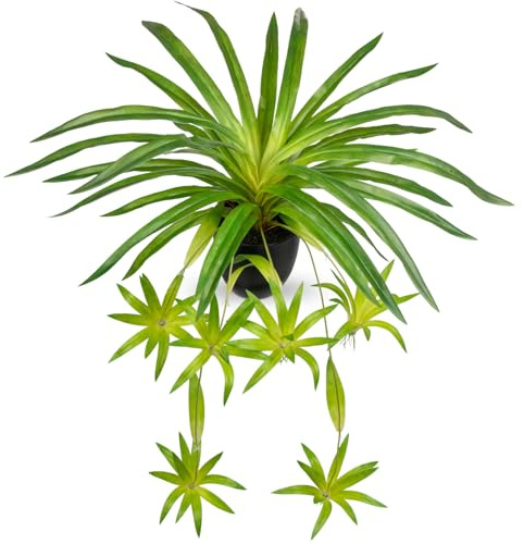 Oairse Artificial Hanging Spider Plant in Pot, Realistic Faux Fern Greenery with Decorative Gravel, Plastic Fake Trailing Plant with Black Nursery Pot for Indoor Home Office Shelf Table Decor