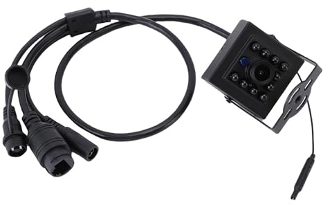 Yechiry Caméra de Biron, Module Extérieur Intérieur à Faible luminosité avec Puce Photosensible CMOS Haute Résolution, Appareil Photo HD pour Regarder Les Oiseaux en Temps Réel, Idéal pour Les (2MP)