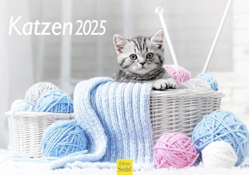 Edition Seidel Premium Kalender Katzen 2025 DIN A3 Wandkalender Katzenkalender Katze Kater Katzenkinder süße Kätzchen Tiere Haustiere