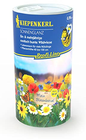 Kiepenkerl Wildblumenmischung Sonnenglanz | Wildblumensamen mehrjährig und einjährig | Für bis zu 30 m² | Exotisch bunte Wildwiese | Bienenwiese für Bienen, Hummeln und Schmetterlinge [MHD 01/2023]