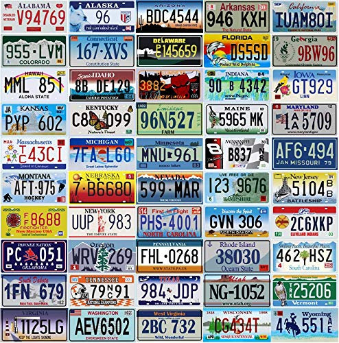 OPO 10 - Juego de 50 Placas de Licencia de los Estados de EE. UU.