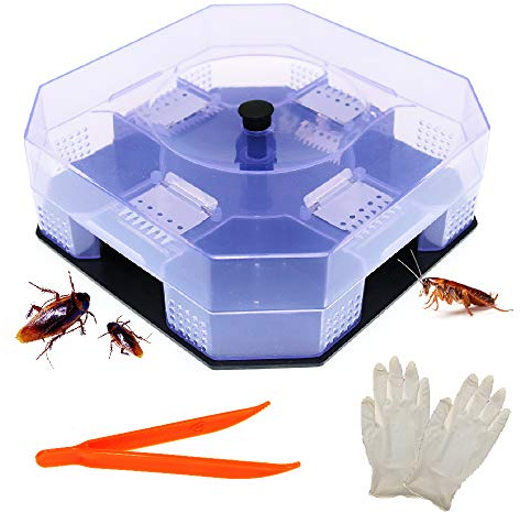 BITEYI Schabe Fallen Kakerlaken Killer Cockroach Catcher Wiederverwendbare und Ungiftige Umweltfreundliche Schädlingsbekämpfung Köder Falle,sicher für Kind und Haustier