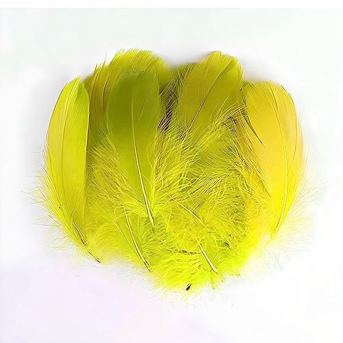 Gänsefedern Gelb 7-12cm - 100 Stück (5g) - Hochwertige, Flauschige & Natürliche Federn für Basteln, Dekoration, DIY Projekte, Traumfänger, Schmuckherstellung & Mehr