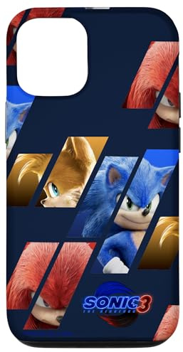 Hülle für iPhone 15 Sonic der Igel 3 - Team Sonic