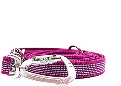 Twinkys Dog Style Dreifach verstellbare Hundeleine gummiert 20 mm breit mit Sicherheitskarabiner 3 Meter Pink