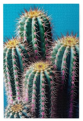 Belleza Kaktus-Puzzle, 1000 Teile, Holzpuzzle, personalisiertes Fotopuzzle für Erwachsene, Freunde, Bilderpuzzle, Geschenke für Hochzeit, Geburtstag, Valentinstag, Heimdekoration