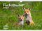 Fuchszauber DIN A3 Kalender für 2025 Fuchs und Füchse - Seelenzauber
