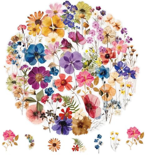 HABNI 100 Stück Transparente Scrapbooking Aufkleber, PET Blumen Aufkleber Pflanzen Sticker, Flower Stickers, Blumenaufkleber für Scrapbook Fotoalbum Sammelalbum Laptops Handwerk (60 Stile)