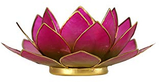 Lotus Teelicht Kerzenhalter aus Capiz Muscheln in Grün/Pink