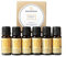 Naissance Ätherisches Öl Set - 6 x 10ml Lavendel, Eukalyptus Blue Gum, Zitrone, Teebaum, Süße Orange, Rosmarin - für Aromatherapie, Duftöl, Duftlampe