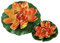 Hobby Seerose orange - künstliche Teichpflanze - 30 cm