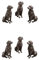 ZHDOKA Pot Feet for Planter Pots 6Pcs Resin Dog Rabbit Tortoise Shaped Decorative Plant Risers for Pots,Cute Animal Shaped Resin Pot Toes Planter Feet,Planter Elevator to Improve Airflow Drainage