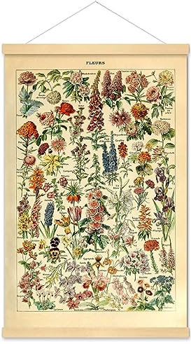 Meishe Art Vintage Poster Druck Blume Floral Botanical Collections Garten Blumen und Pflanzen Identifikation Referenzdiagramm Diagramm gerahmt Home Wall Decor