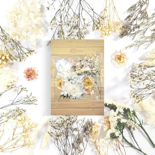 QZKJQDD Getrocknete Blumen, Trockenblumen Zum Basteln, Getrocknete Blumen, Trockenblumen Klein, Für DIY Handwerk Dekoration Epoxidharz Handwerk Scrapbooking Kartenherstellung (weißer Anzug)