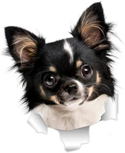 Auto Aufkleber Und Abziehbilder 15 Cm 3D Chihuahua Hund Aufkleber Super Aufkleber An Wand Kühlschrank Toilette Auto Fahrrad (2 Stück)(2 Stück)