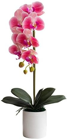 QXGJTLI Kunstblume mit Topf Orchidee Künstliche Phalaenopsis Einzelblumen mit Übertopf Künstliche Orchidee in Vase Gefälschte Blume für Wohnzimmerarrangements Orchidee (Rosa)