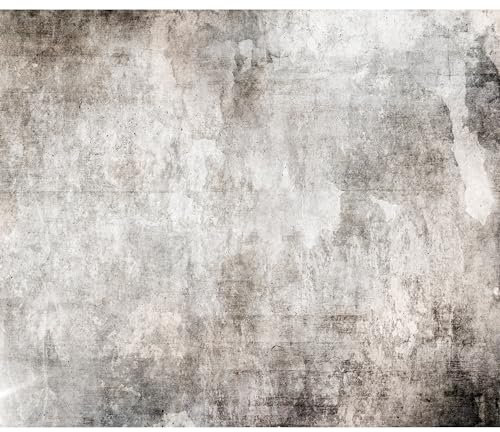 murando Fototapete selbstklebend Betonoptik 343x256cm Foto Tapete Tapetenfolie Möbelfolie Wandverkleidung Wandtapete Motivtapeten Bildtapete Wohnzimmer 3d Effekt Modern Steinwand Struktur grau