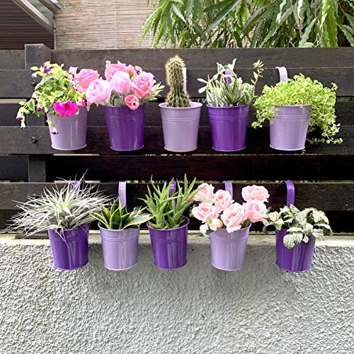 LaLaGreen Hanging Planter Outdoor - 10 Pack, 4 Inch Fence Planters Outdoor Purple Hanging Window Flower Bucket Metal Succulent Pots Balcony Railing Wall Garden Deck Porch Herb Plant Macetas Exterior