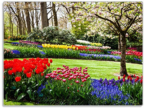 Wallario Glasunterlage/Schneidebrett aus Glas, Bunte Blumen und Kirsch-Baum im Park blühen im Frühling, Größe 30 x 40 cm, Kratzfest, aus Sicherheitsglas