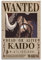 INKLOT Anime Kaido Bounty Wanted Poster, dekoratives Gemälde, Leinwand, Wandposter und Kunstbild, modernes Familien-Schlafzimmer, 20 x 30 cm