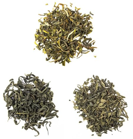 Schrader | Grüner Tee | aus China | Grünteevielfalt-Sortiment | Bio | 3 x 100g