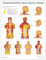 AnatomyStuff Trigger Points: Head, Neck & Runk Poster/Diagramm, 45 x 60 cm, Physiotherapie-Lernwerkzeug, Anatomie-Wanddiagramm