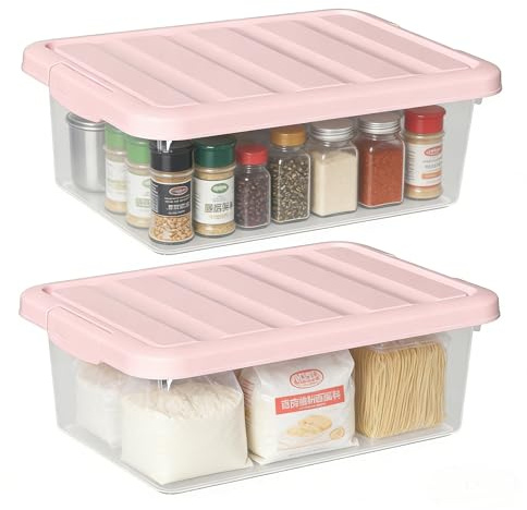 Vareone Pack of 2 Plastic Storage Boxes with Lids, Organizing Container with Secure Latching Buckles, Rectangular Tote Bin for Home Clothes