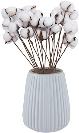 20er Set Natürliche Trockenblumen aus Baumwolle – Dekoration für Hochzeit, Heimdekor & DIY – Handgeerntet langlebig für Tischgestecke, Brautsträuße