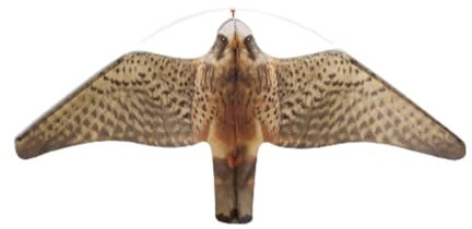 Spaventapasseri Falco Professionale | Eolo Falco con protezione UV | Sfugge piccioni, tortore, storni, bacini, aironi, gabbiani | Remi Casa (5 m)