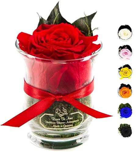 Rosen-Te-Amo |Ewige Rose im Glas, duftend, handgefertigt, rot|Echte ewige Rose in Geschenkbox |Geschenk für Frauen, Mama |Konservierte Blume zum Weihnachten, Valentinstag, Muttertag, Deko Geschenk