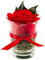 Rosen-Te-Amo 1 rosa rossa durevole di alta qualità in vaso con vero verde; rosa conservata in vetro: bouquet di fiori dura 3 anni senza acqua