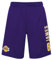 NBA Los Angeles Lakers Lebron James #6 - Pantaloncini da basket, colore: lilla, Lilla, XL