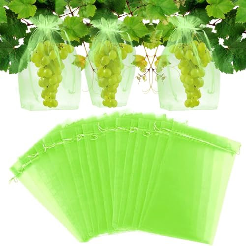 mizikuu 60 Stück Trauben-Schutzbeutel, Obst Schutzbeutel 20 * 30cm mit Zugband Organzabeutel Garten Netzbeutel Weintrauben Schutz Zum Schutz vor Wespenfrass Vögel Kirschessigfliege, Grün