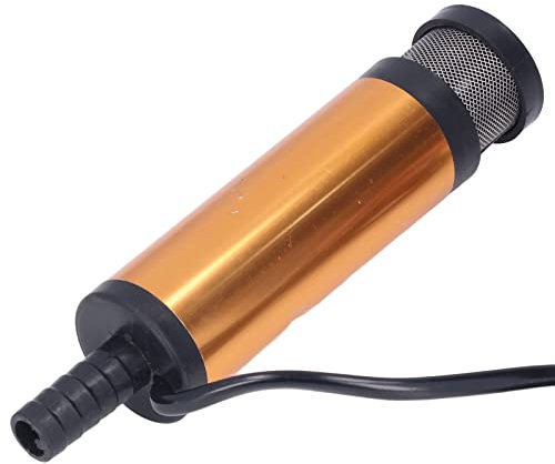 Mini Bomba de Aceite Eléctrica para Transferencia Portátil de Diésel y Agua Mejorada con CC de 12 V y Filtro de 38 Mm para Transferencia de Agua, Combustible y Diésel Motor de