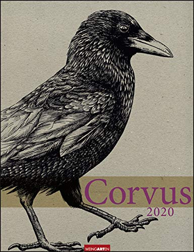 Corvus - Kalender 2020 - Weingarten-Verlag - Achim Natzeck - Kunstkalender - Wandkalender 30 cm x 39 cm