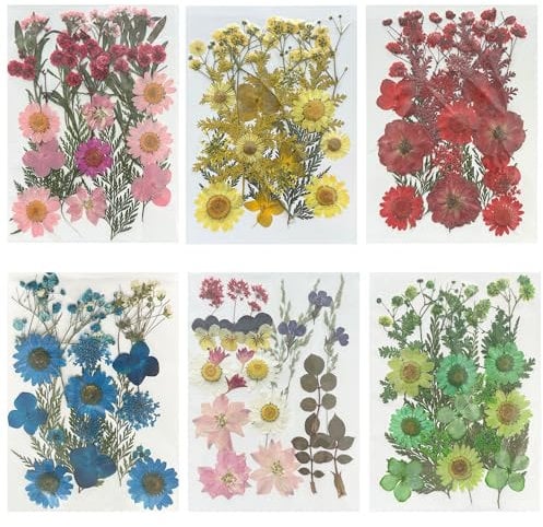 Woohome 126 Stück Natürlich Getrocknete Blumen Gepresste Blumen zum Basteln Blüten Getrocknet Trockenpressen-Blumen-Set für die Herstellung von DIY-Schmuck, Nagelkarten und Dekorationen