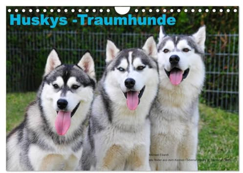 Huskys - Traumhunde (Wandkalender 2025 DIN A4 quer), CALVENDO Monatskalender: Der Siberian Husky, gezeigt von seiner schönsten Seite