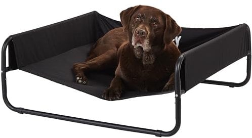 Bunty Sided & Raised Dog Bed Large Size - Waterproof and Cooling Elevated Dog Bed Cot with Steel Frame, Portable Pet Bed for Indoor, Outdoor and Camping Use