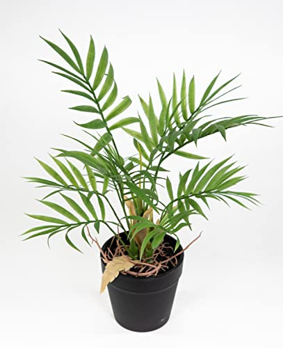 Seidenblumen Roß Mini Arekapalme/Zimmerpalme 32cm im Topf GA Kunstpflanze künstliche Palme Dekopalme Pflanze
