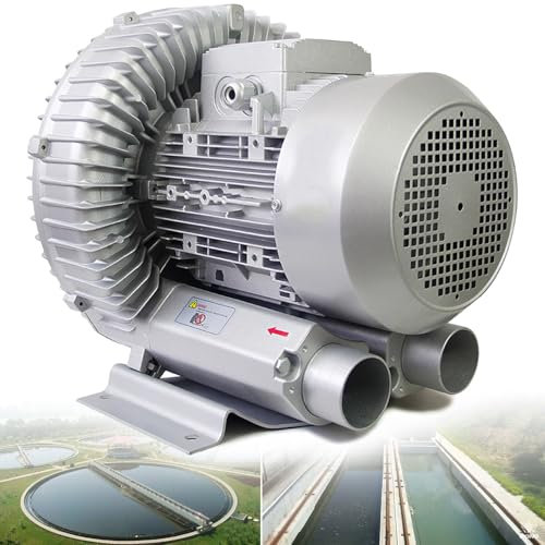 RCBDBSM 120-1500W Seitenkanalverdichter Regeneratives Gebläse 220 V 50 Hz Einphasige Vortex-Gas-Pumpe Radialventilator Radialgebläse Zum Luftblasen, Absaugen, Abwasser Belebungs,370W/0.50HP