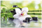 ARTLAND Küchenrückwand Glas mit Motiv Spritzschutz 90x60 cm Design Asien Orchideen Blumen Blüte Natur Bambus Zen Steine Grün T9IQ
