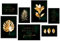 Hyggelig Home 7er Poster Set - passende Bilder im stilvollen Set - Collage Wand - 3x DIN A3 + 4x DIN A4 - Set Motive Gold