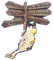 Moiilvcla Fuerteventura Spanien Kühlschrankmagnet Reise Souvenir Kühlschrank Dekoration 3D Magnet Aufkleber Handbemalt Handwerk Kollektion
