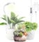 IMVSINCERE Grow Lights for Indoor Plants,Clip On LED Full Spectrum Grow Light for Small Plants,5000k Small Growing Led Light with 360° Gooseneck,3/9/12H Timer, 10 Brightness, 5W,White