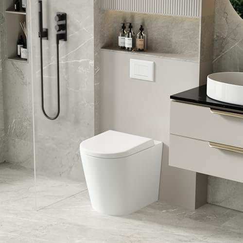 Robanmoa Modern Back to Wall Toilet Concealed Cistern Bathroom Toilets White Ceramic BTW Short Projection WC Pan Quick Release Soft Close Seat Hidden Tank Round Compact Toilet