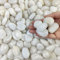 FANTIAN 4 lbs White Pebbles for Plant Pots, 20-30 mm Decorative White Stones for Garden, Terrarium, Plant Pots, Vases and Outdoor Decorative Rocks