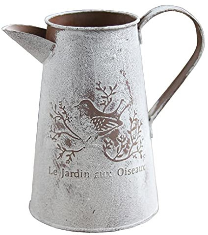 Gießkanne Dekoration Eisen Vase Gießkanne Blumen-Behälter Blumenhalter Krug für Haus-Garten-Dekoration Style1 Betriebshalter