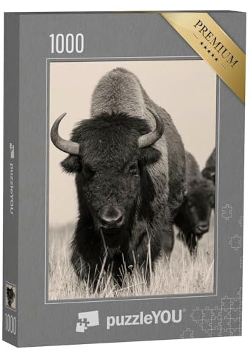 puzzleYOU: Puzzle 1000 Teile „Amerikanischer Bison oder Büffel, Sepia-Aufnahme“ – aus der Puzzle-Kollektion Büffel, Bisons, Tiere in Savanne & Wüste